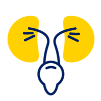 EL_icon_072451Urology